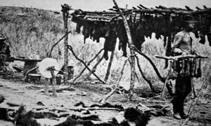 People drying furs on a field