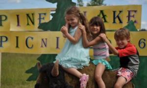 Children riding fake buffalo.